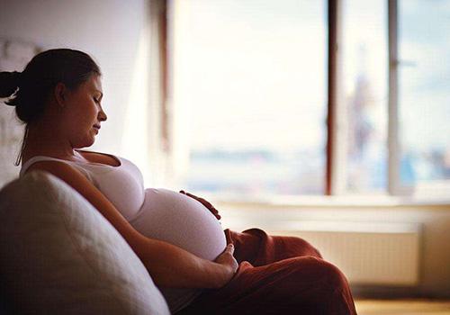 麝香會導致流產嗎 麝香真的能導致流產嗎 麝香會導致流產嗎 麝香真的能導致流產嗎