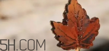 楓糖色口紅是什么顏色？楓糖色口紅試色