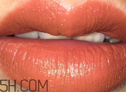 枯葉色是什么顏色？枯葉色口紅試色