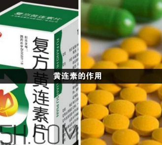 黃連素能降血糖嗎？黃連素能經(jīng)常吃嗎？