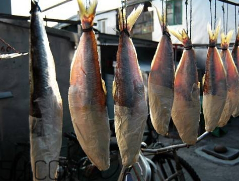 怎么曬咸魚(yú)不招蒼蠅 曬咸魚(yú)怎樣不招蒼蠅