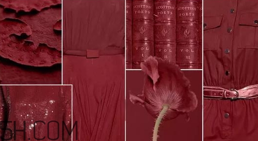 勃艮第紅是什么顏色？勃艮第色是酒紅色嗎？