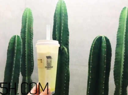 臟臟包哪里買？網(wǎng)紅巧克力臟臟包店鋪地址