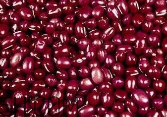 喝咖啡拉肚子怎么回事？喝咖啡拉肚子怎么辦？