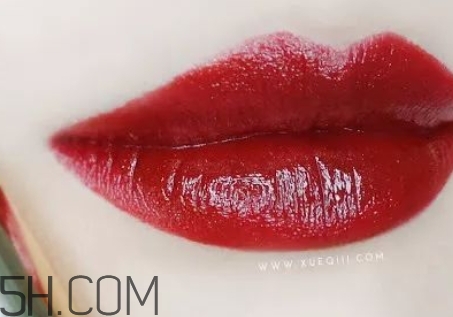 勃艮第酒紅口紅哪個(gè)牌子好？勃艮第紅口紅推薦