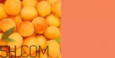 奶油杏是什么顏色？奶油杏色口紅試色