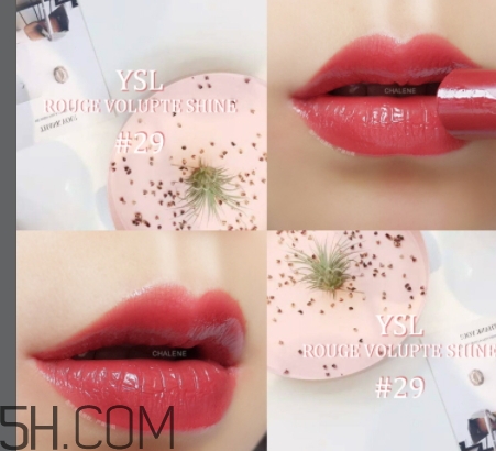 ysl圓管29真假 ysl圓管29號(hào)豆沙色真假辨別 ysl圓管29真假 ysl圓管29號(hào)豆沙色真假辨別