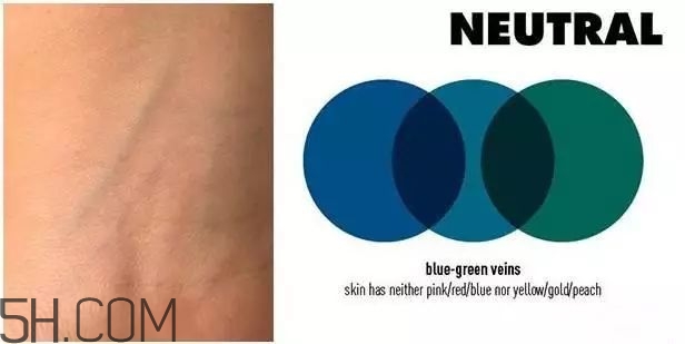 底妝色號怎么選 粉底液色號選擇建議 底妝色號怎么選 粉底液色號選擇建議