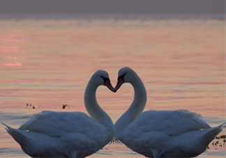 佛系前任是什么意思？佛系前任的標(biāo)準(zhǔn)和表現(xiàn)