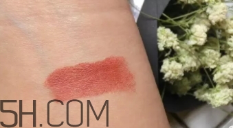 mac mocha和brick哪個好看？mac mocha和brick試色對比