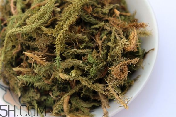 什么是伸筋草？伸筋草的功效與作用是什么？