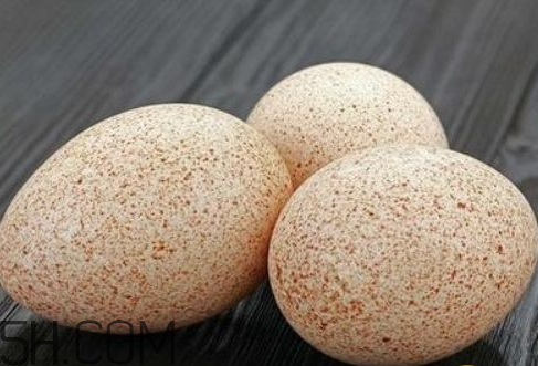 火雞蛋多少錢一個 火雞蛋多少錢一斤 火雞蛋多少錢一個 火雞蛋多少錢一斤