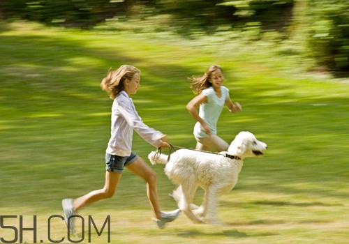 夜跑減肥的正確方法有哪些？冬天夜跑應(yīng)該怎么跑才能減肥？