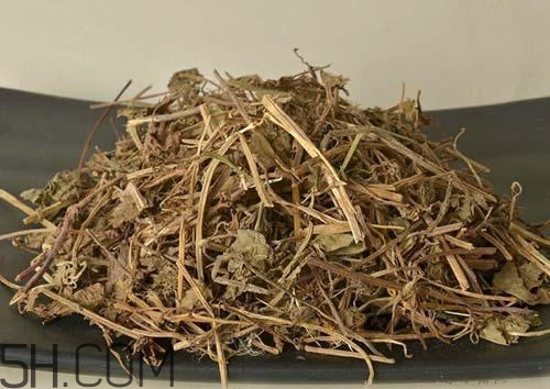 什么是透骨草？透骨草的功效與作用是什么？