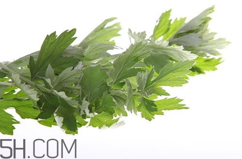 艾葉草洗澡有什么好處？怎么挑選艾葉草？