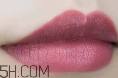 mac twig和brick o la一樣嗎？mac twig和brick o la試色對比