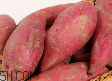 紅薯白心好還是黃心好 紅心紅薯和黃心紅薯白心紅薯的區(qū)別 紅薯白心好還是黃心好 紅心紅薯和黃心紅薯白心紅薯的區(qū)別