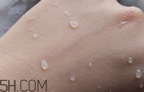 suhu尚惠銀杏氣墊cc霜多少錢？尚惠銀杏氣墊cc霜專柜價