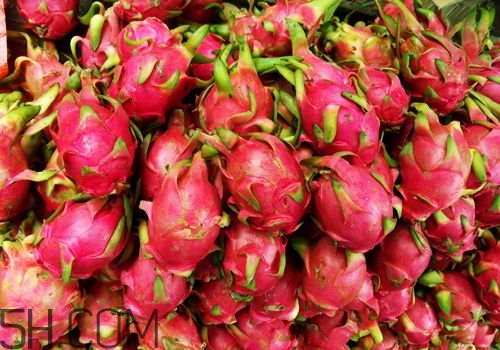 火龍果是熱性還是涼性？哪些人不適合吃火龍果？