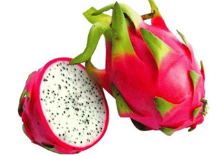 火龍果是熱性還是涼性？哪些人不適合吃火龍果？