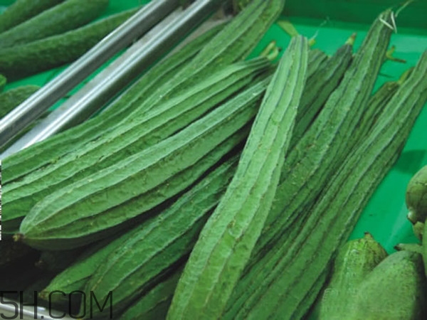 苦絲瓜能吃嗎？吃苦絲瓜會中毒嗎？