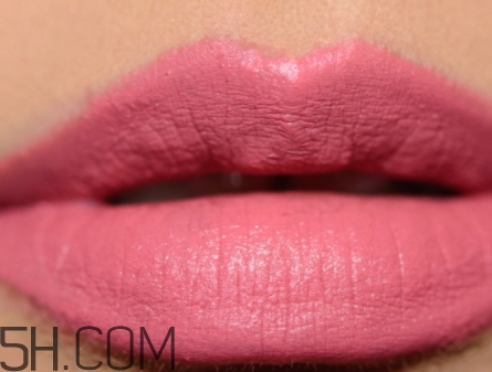 mac please me是什么顏色？mac please me試色