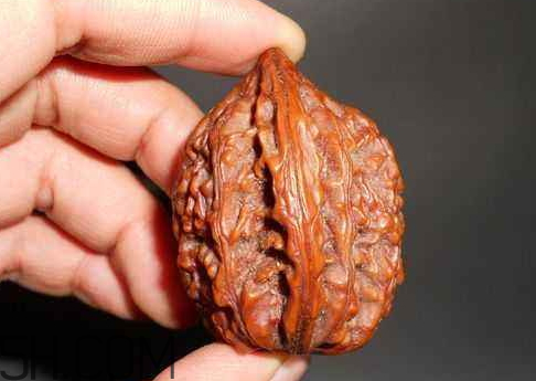 一個核桃的熱量是多少 一個核桃的卡路里 一個核桃的熱量是多少 一個核桃的卡路里