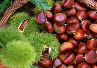 一歲寶寶能吃板栗嗎？寶寶吃板栗的做法有哪些？