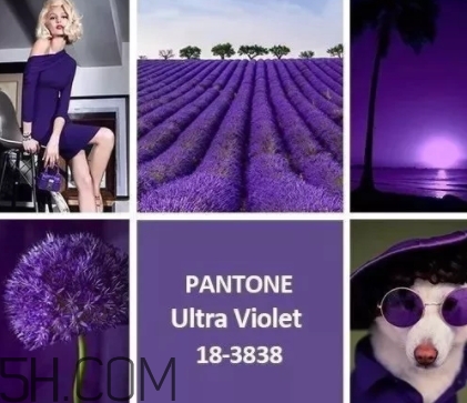 2018流行什么顏色衣服？2018流行衣服顏色搭配