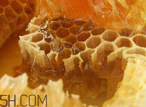 一兩蜂膠泡多少酒 一兩蜂膠泡泡多少酒 一兩蜂膠泡多少酒 一兩蜂膠泡泡多少酒