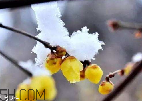 2018年一九是哪天 2018年一九是幾月幾號(hào) 2018年一九是哪天 2018年一九是幾月幾號(hào)