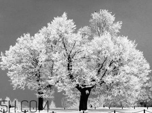 2018年一九是哪天 2018年一九是幾月幾號(hào) 2018年一九是哪天 2018年一九是幾月幾號(hào)