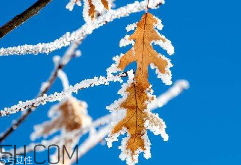 2018年二九是哪一天 2018年二九是幾月幾號(hào) 2018年二九是哪一天 2018年二九是幾月幾號(hào)