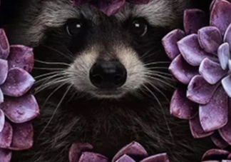 紫外光色衣服怎么搭配？紫外光色衣服搭配什么顏色