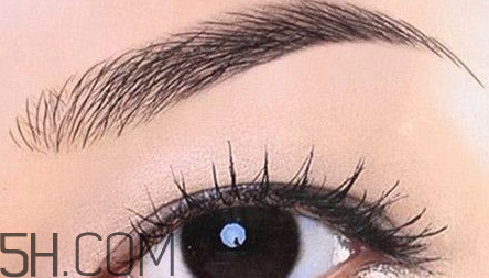 紋眉后還用畫眉嗎？紋眉后還會長眉毛嗎？