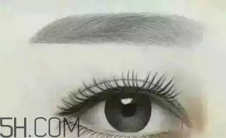 霧眉多少錢？紋眉的過程