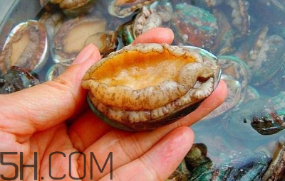 鮑魚怎么做好吃？吃鮑魚注意事項