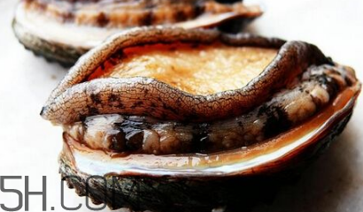 新鮮鮑魚怎么洗才干凈？鮑魚做法大全