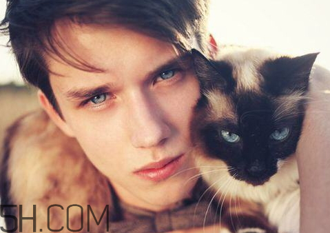 說男的小狼狗什么意思 娛樂圈小狼狗什么意思 說男的小狼狗什么意思 娛樂圈小狼狗什么意思