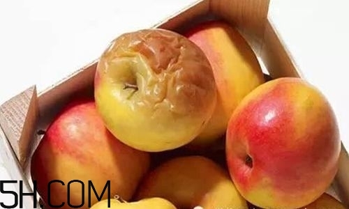 水果爛了能吃嗎？把爛了的水果挖掉能吃嗎？