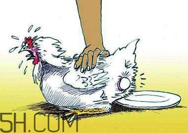 哪些食物補腦？補腦應(yīng)該注意些什么？