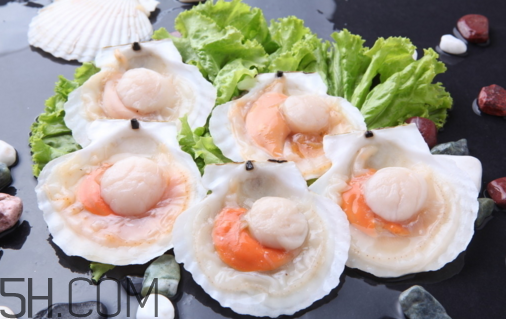 扇貝和生蠔有什么區(qū)別？扇貝和生蠔的營養(yǎng)價(jià)值