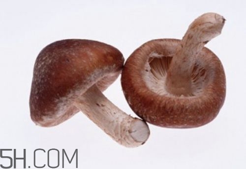 冬天吃什么肉好？冬天吃什么肉比較滋補身體？