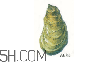吃生蠔應該注意哪些事項？生蠔與牡蠣的區(qū)別