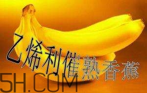 冬天可以吃葡萄嗎？冬天吃葡萄好不好？