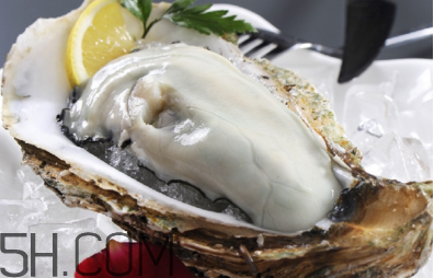 生蠔有哪些食用禁忌？如何像行家一樣吃生蠔？