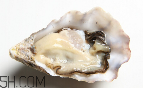 扇貝和生蠔有什么區(qū)別？扇貝和生蠔的營養(yǎng)價(jià)值