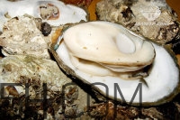 吃生蠔應該注意哪些事項？生蠔與牡蠣的區(qū)別