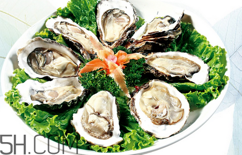 食用生蠔的注意事項(xiàng) 生蠔的功效和作用 食用生蠔的注意事項(xiàng) 生蠔的功效和作用