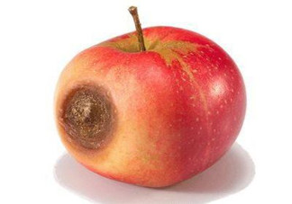 水果爛了能吃嗎？把爛了的水果挖掉能吃嗎？